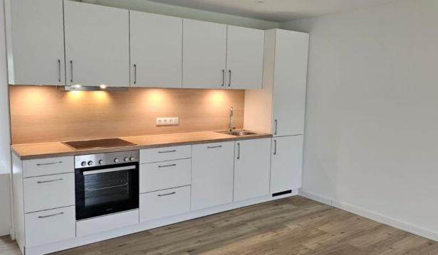 Küchenzeile in weiß mit Holz